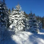 Rehblick Lägenhet Eisenbach (Breisgau-Hochschwarzwald)