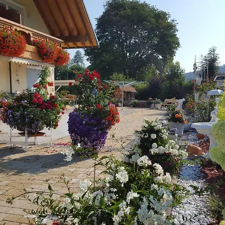 Rehblick Apartment