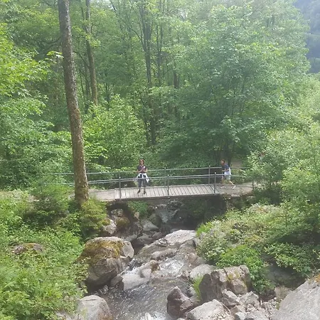 Rehblick Eisenbach (Breisgau-Hochschwarzwald)