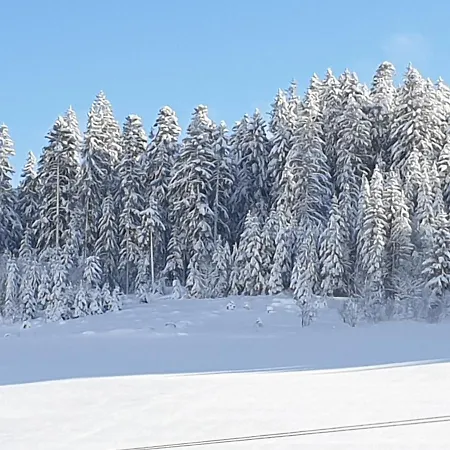 Rehblick Айзенбах