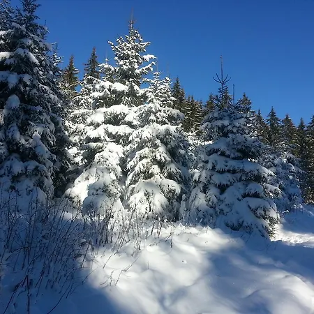 Rehblick Lejlighed Eisenbach (Breisgau-Hochschwarzwald)