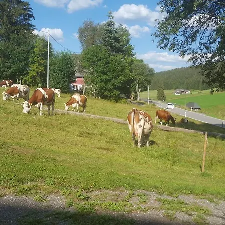 Rehblick * אייזנבאך