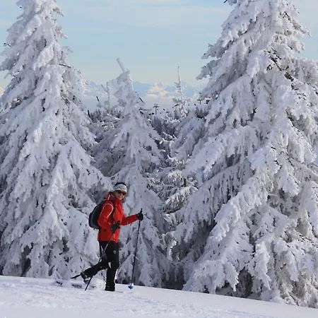 Rehblick Апартаменты Айзенбах
