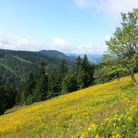 Rehblick Айзенбах