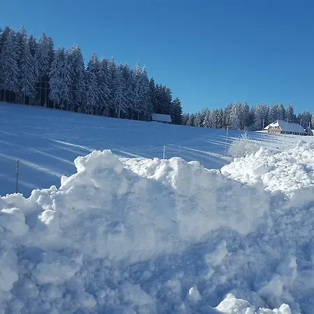 Rehblick Айзенбах
