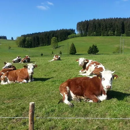 Rehblick Apartment Eisenbach (Breisgau-Hochschwarzwald)