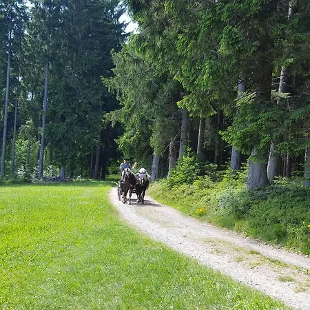 Lejlighed Rehblick