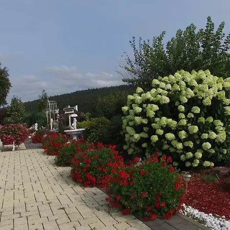 Rehblick Айзенбах